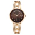 Titan Raga Afterglow Quartz Analog Brown Dial Rose Gold Metal Strap Watch For Women - image number 0