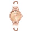 Anne Klein Quartz Analog Beige Dial Metal Strap Watch for Women - image number 0