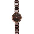 Titan Raga Delight Quartz Analog Brown Dial Brown Metal Strap Watch For Women - image number 2