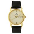 Titan Analog Champagne Dial Leather Strap watch for Men