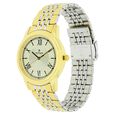 Titan Karishma Champagne Dial Analog Stainless Steel Strap Watch for Men - image number 1