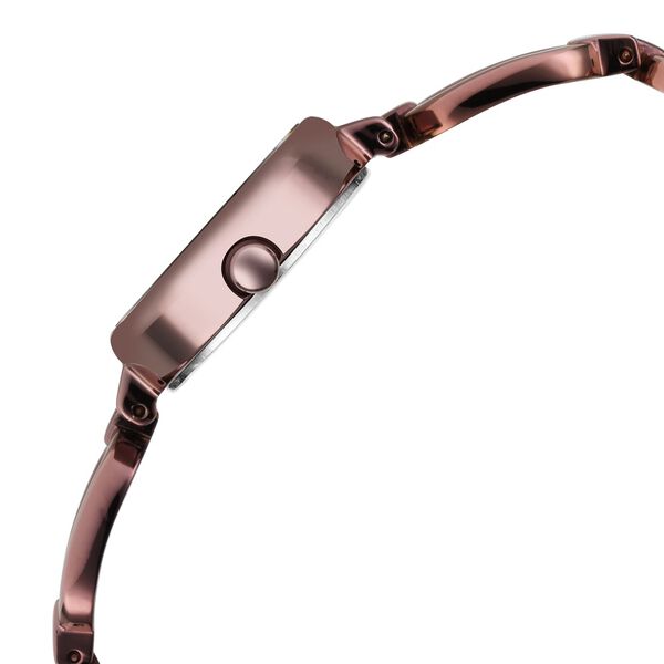 Titan Raga Viva Brown Dial Analog Metal Strap Watch for Women - image number 3