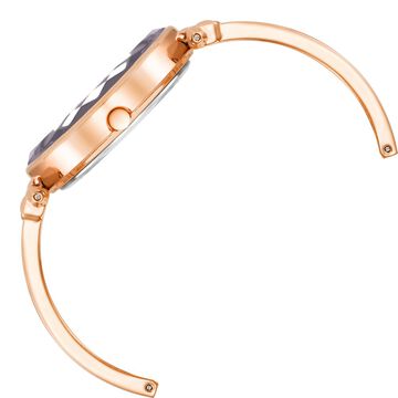 Anne Klein Quartz Analog Purple Dial Rose Gold Plastic Strap Watch For Women