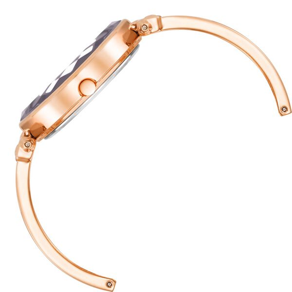 Anne Klein Quartz Analog Purple Dial Rose Gold Plastic Strap Watch For Women - image number 1
