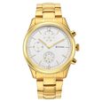 Titan Black and Gold Silver Dial Analog with Day and Date Stainless Steel Strap Watch for Men - image number 1