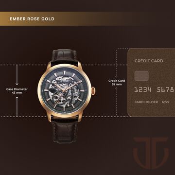 Titan Phoenix Skeletal Automatic Analog with Gun Dial Brown Leather Strap Watch for Men