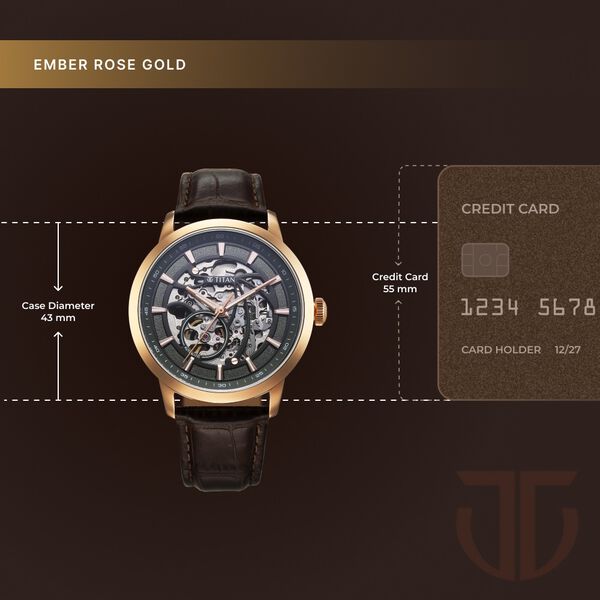 Titan Phoenix Skeletal Automatic Analog with Gun Dial Brown Leather Strap Watch for Men - image number 6