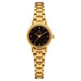 Titan Quartz Analog Black Dial Watch for Women - image number 0