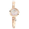 Titan Raga Viva Mother of Pearl Dial Women Watch With Metal Strap - image number 1