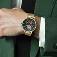 Titan Mechanical Slimline Green Dial Golden Mesh Strap watch for Men - image number 6