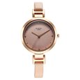 Titan Raga Memoirs Quartz Analog Silver Dial With Silver Color Metal Strap Watch For Women