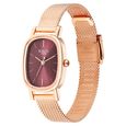 Titan Raga Viva Brown Dial Analog Stainless Steel Strap Watch for Women - image number 2