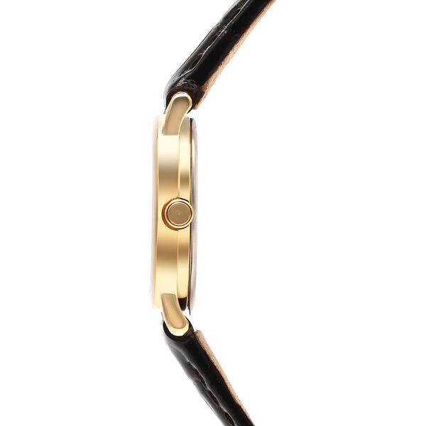 Titan Nebula Vintage 18k Gold Analog with Diamond Studded Indices Watch for Women - image number 2