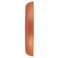 Titan Classic Brown Colour Wall Clock with Silent Sweep 34 x 34 cm (Medium) - image number 3