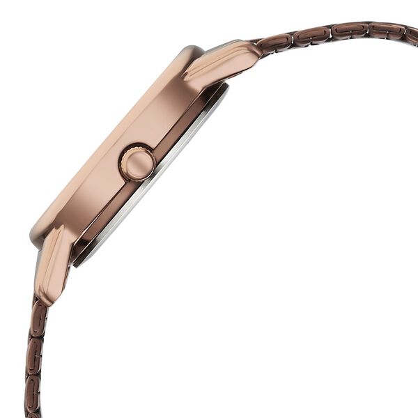 Titan Karishma Quartz Analog Brown Dial Brown Stainless Steel Strap Watch For Women - image number 3