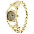 Titan Raga Aurora Grey Dial Women Watch With Metal Strap - image number 1