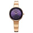 Titan Raga Showstopper Quartz Analog Purple Round Dial Rose Gold Metal Strap Watch For Women - image number 0