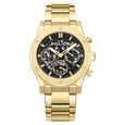 Police Quartz Multifunction Black Dial Golden Colour Stainless Steel Strap Watch For Men - image number 0