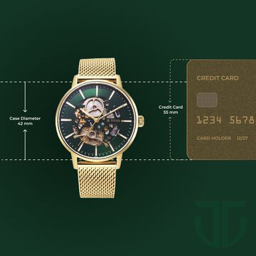 Titan Mechanical Slimline Green Dial Golden Mesh Strap watch for Men