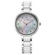 Titan Purple ceramics Quartz Analog Mother Of Pearl Dial Steel & Ceramic Strap Watch for Women