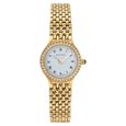 Titan Quartz Analog White Dial Stainless Steel Strap Watch for Women