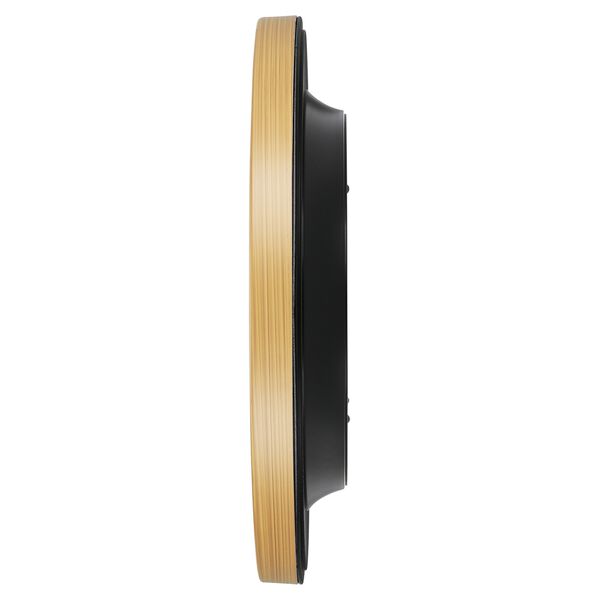 Titan Contemporary Wall Clock Quartz Analog Light Brown Dial - Size 31 cm x 31 cm (Medium) - image number 3