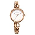Titan Karishma White Dial Watch for Women - image number 1