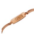 Titan Raga Foliage Rose Gold Dial Women Watch With Metal Strap - image number 2