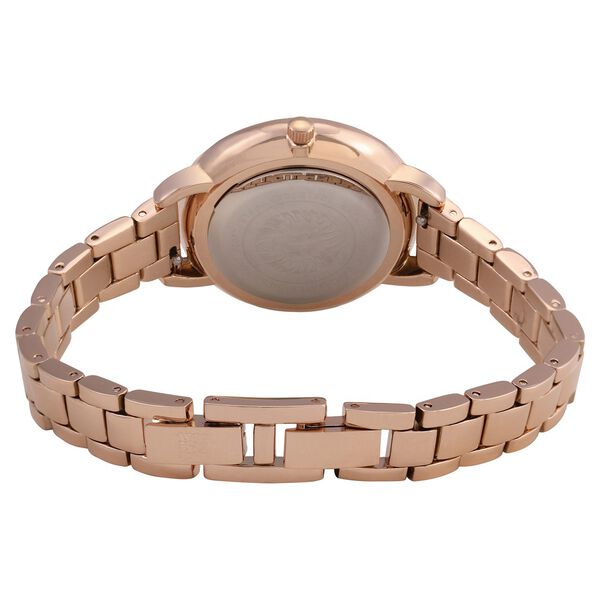 Anne Klein Quartz Analog Silver Dial Metal Strap Watch for Women - image number 4