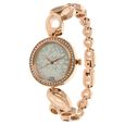 Titan Raga Garden of Eden Mother of Pearl Dial Analog Metal Strap watch for Women - image number 1