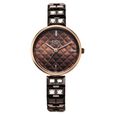 Titan Raga Contempore Quartz Analog Brown Dial Metal Strap Watch For Women - image number 1