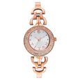 Titan Quartz Analog Silver Dial Metal Strap Watch for Women - image number 0