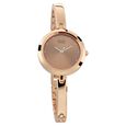 Titan Raga Viva Rose Gold Dial Women Watch With Metal Strap - image number 1