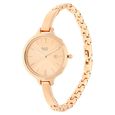 Titan Raga Viva Rose Gold Dial Women Watch With Metal Strap - image number 1