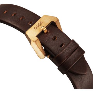 Xylys Quartz Analog Brown Dial Brown Leather Strap Watch For Men