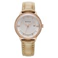 Titan Bright Leathers Silver Dial Analog with Date Leather Strap Watch for Women - image number 0