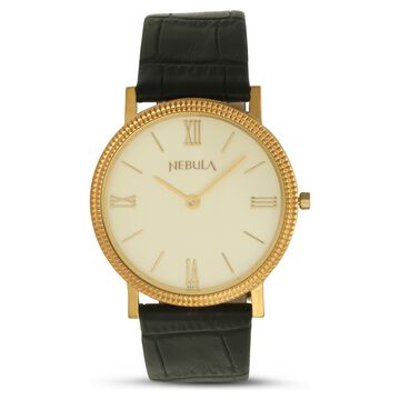 Titan Nebula Vintage 18k Gold Analog Leather Strap Watch for Men