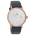 Titan Quartz Analog with Date Silver Dial Watch - image number 0