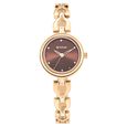 Titan Lagan Brown Dial Analog Metal Strap Watch for Women - image number 1