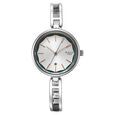 Titan Raga Viva Silver Dial Metal Strap Watch for Women - image number 1