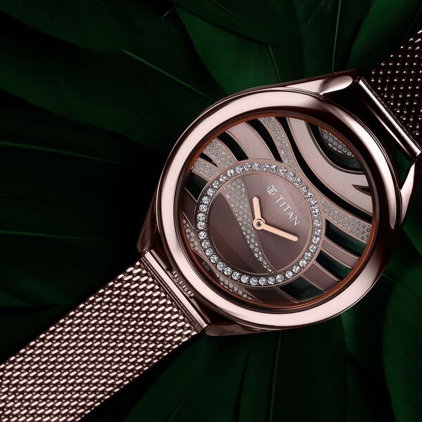 Titan Animalia Quartz Analog Dial Brown Stainless Steel Strap Watch For Women - image number 0