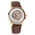 Titan Automatic Silver Dial Brown Leather Strap Watch for Men - image number 1