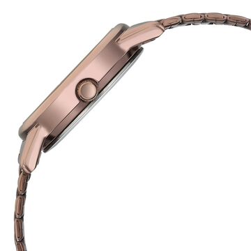 Titan Karishma Quartz Analog Beige Dial Brown Stainless Steel Strap Watch For Women