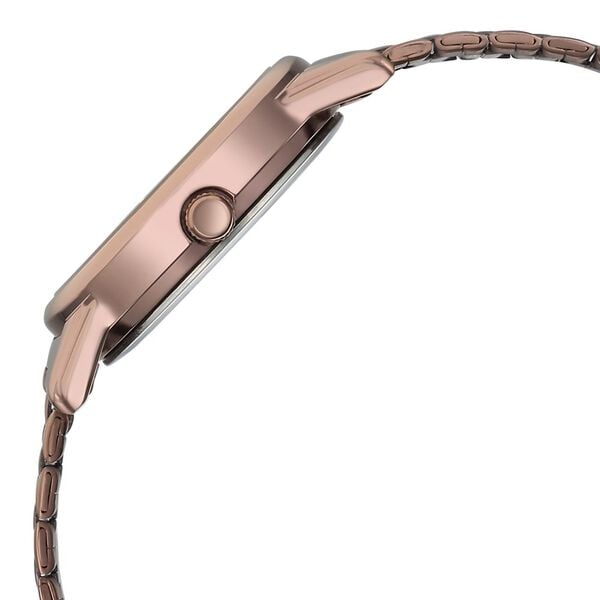 Titan Karishma Quartz Analog Beige Dial Brown Stainless Steel Strap Watch For Women - image number 3