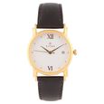 Titan Analog Champagne Dial Leather Strap watch for Men