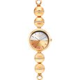 Titan Raga Delight Two Toned Dial Women Watch With Metal Strap - image number 1
