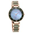 Purple Ceramics Green Dial Steel & Ceramic Strap Watch for Women - image number 0