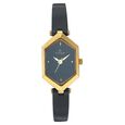 Titan Quartz Analog Black Dial Watch for Women - image number 0