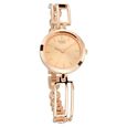 Titan Raga Viva Rose Gold Metal Analog Strap Watch for Women - image number 1