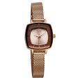 Vyb Seeker By Fastrack Quartz Analog Rose Gold Dial Metal Strap Watch For Girls - image number 1